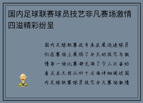国内足球联赛球员技艺非凡赛场激情四溢精彩纷呈